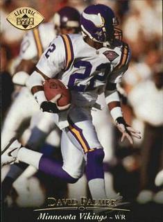 David Palmer