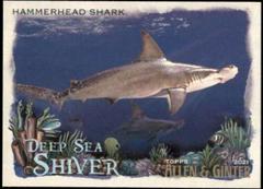 Hammerhead Shark #DSS-6 Baseball Cards 2021 Topps Allen & Ginter Deep Sea Shiver Prices