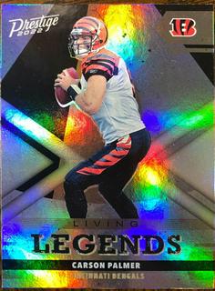 Carson Palmer