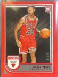 Dalen Terry
