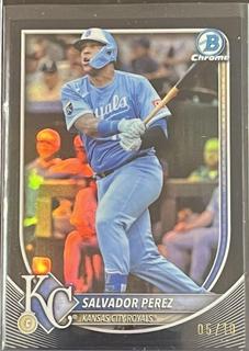 Salvador Perez