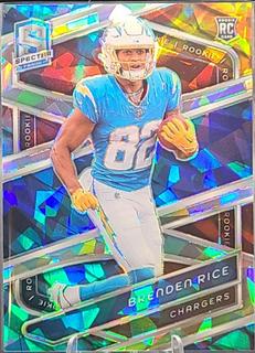 Brenden Rice