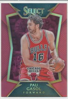 Pau Gasol
