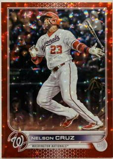 Nelson Cruz
