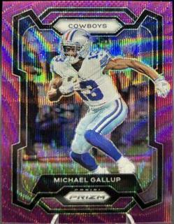 Michael Gallup