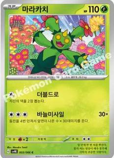 Maractus