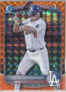 Victor Rodrigues