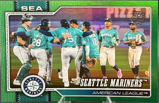 Team Card