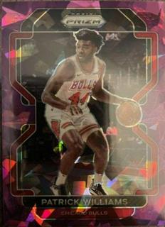 Patrick Williams