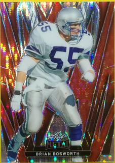 Brian Bosworth