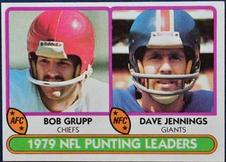 NFL Punting Leaders