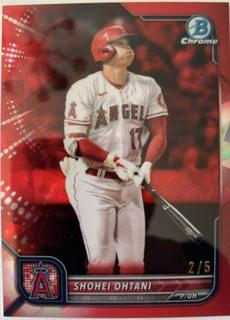 Shohei Ohtani