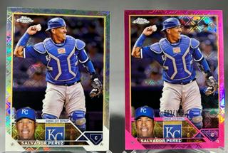 Salvador Perez
