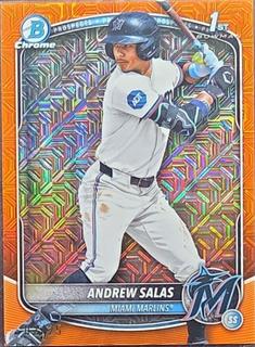 Andrew Salas