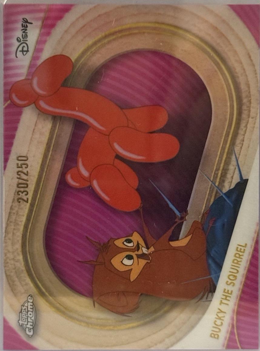Bucky the Squirrel [Pink Refractor] #23