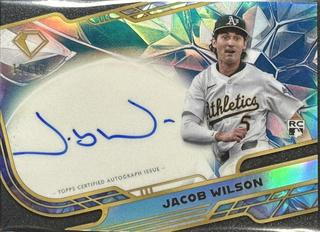 Jacob Wilson