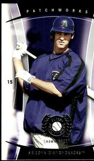 Shawn Green