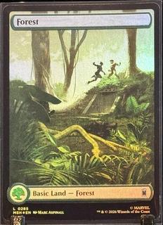 Forest