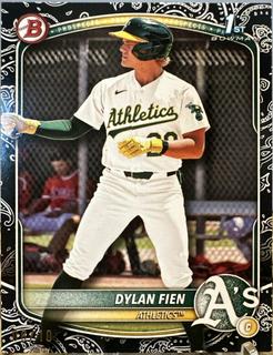 Dylan Fien