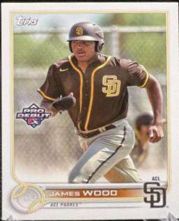 James Wood