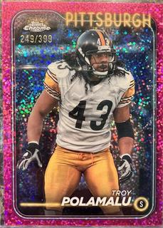 Troy Polamalu