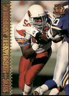 Terry Irving