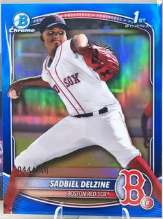 Sadbiel Delzine