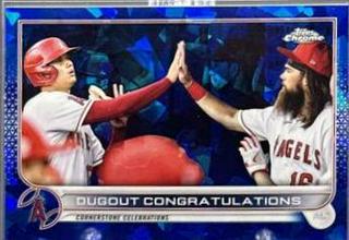 Dugout Congratulations