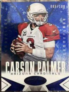 Carson Palmer
