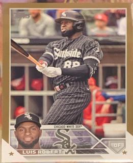 Luis Robert