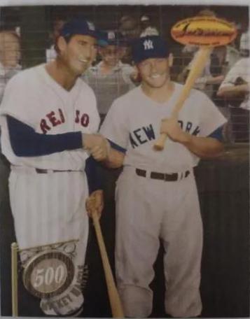 Mickey Mantle #5C4 Baseball Cards 1994 Ted Williams Co. the 500 Club