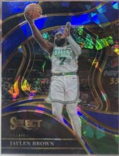 Jaylen Brown