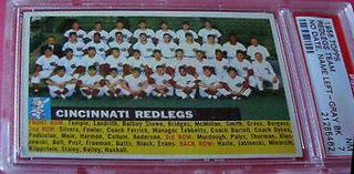 Redlegs Team