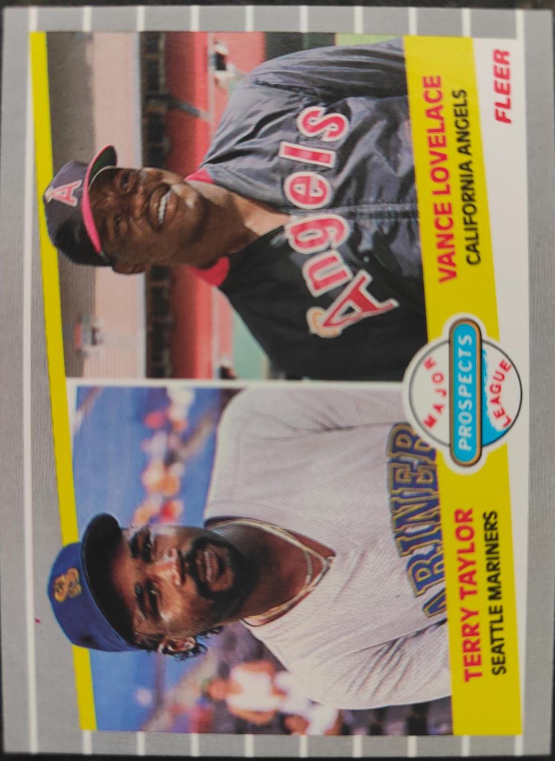Terry Taylor - Vance Lovelace #651 Baseball Cards 1989 Fleer