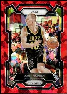 Joey Hauser