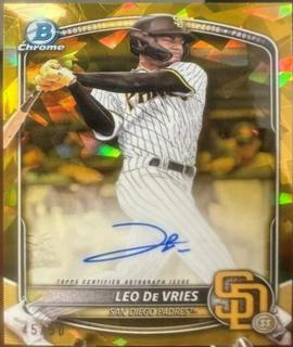Leo De Vries
