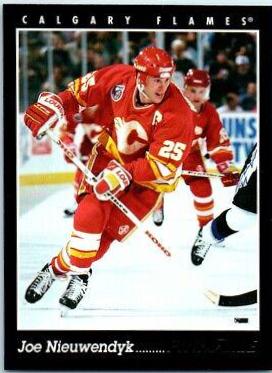 Joe Nieuwendyk #198 Hockey Cards 1993 Pinnacle