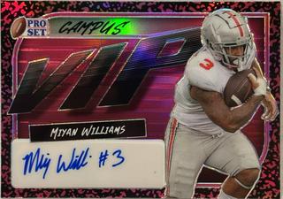 Miyan Williams