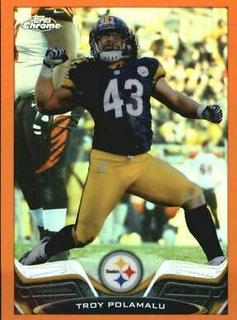 Troy Polamalu