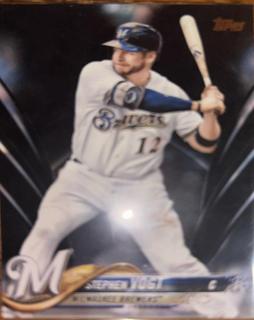 Stephen Vogt