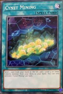 Cynet Mining OP24-EN025