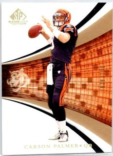 Carson Palmer