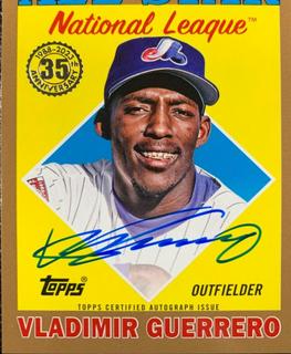 Vladimir Guerrero