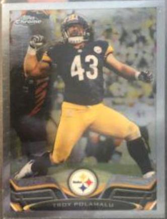 Troy Polamalu #123