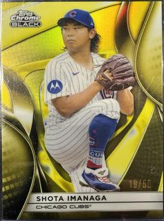 Shota Imanaga