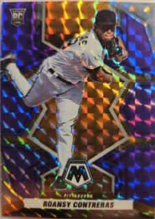 Roansy Contreras