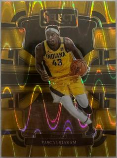 Pascal Siakam