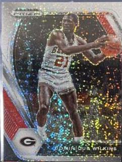 Dominique Wilkins