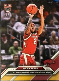 Boogie Fland