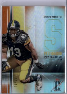 Troy Polamalu
